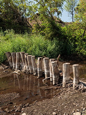 Mulgowie Riverbank Restoration