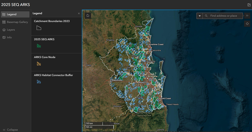 From mapping to action: Healthy Land & Water science directing koala conservation