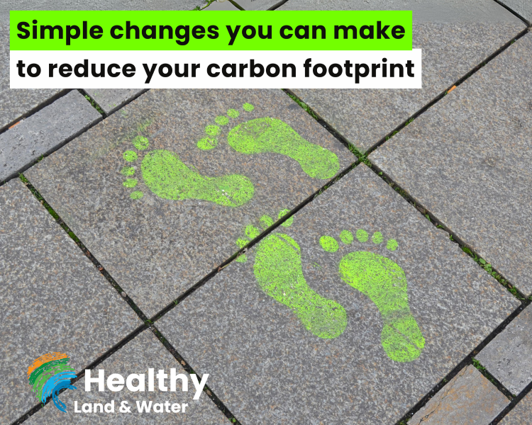 Tips to reduce your carbon footprint