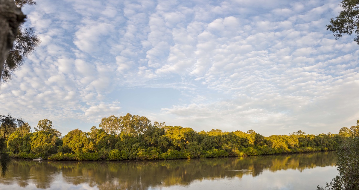 Conservationists vow to work together to improve Logan and Albert catchments