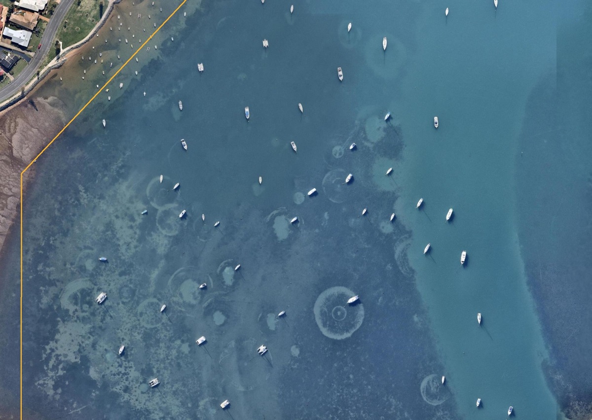 Data and analysis support for Environmentally Friendly Moorings Program