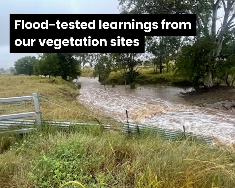 Flood tested learnings from our vegetation sites
