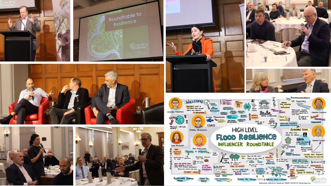 High level think tank: Roundtable to resilience