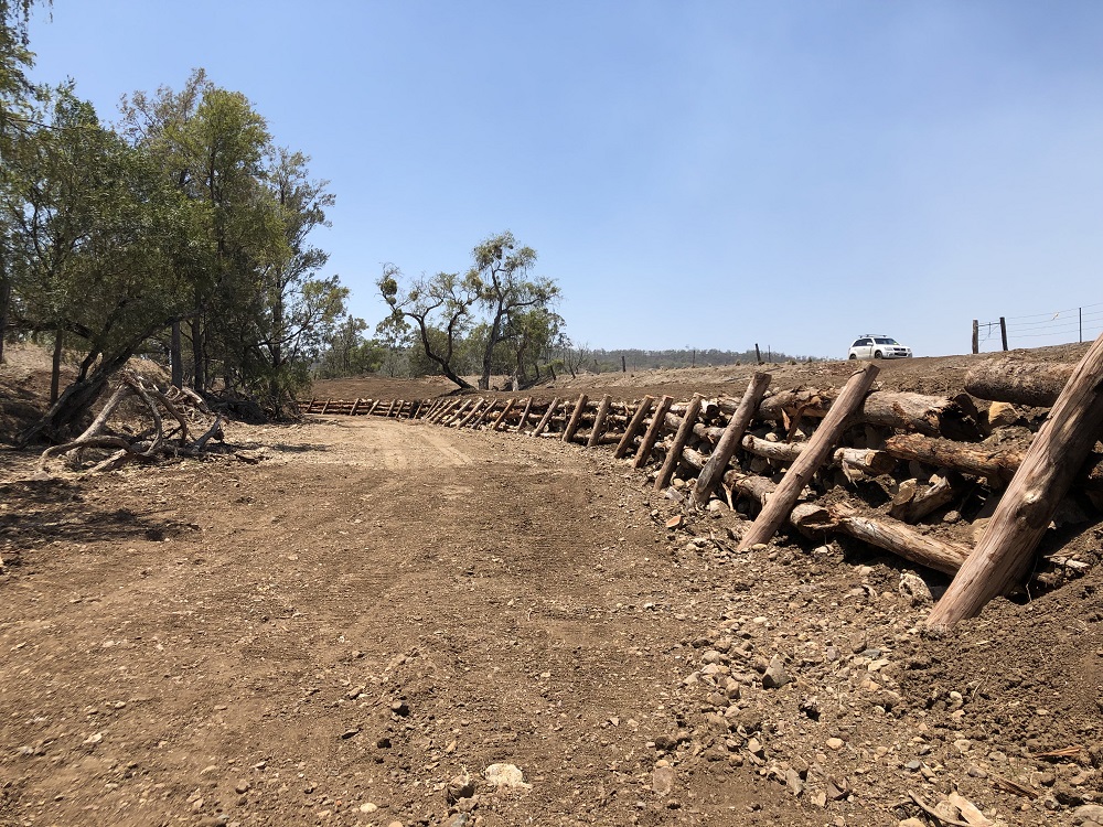 How the Healthy Catchments Program is helping to protect Moreton Bay