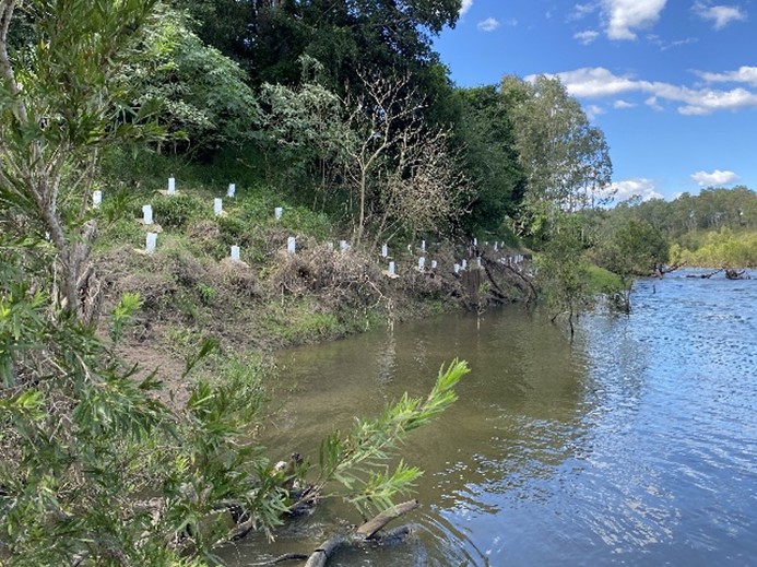 Mid Bris Rivercare winwin reveg