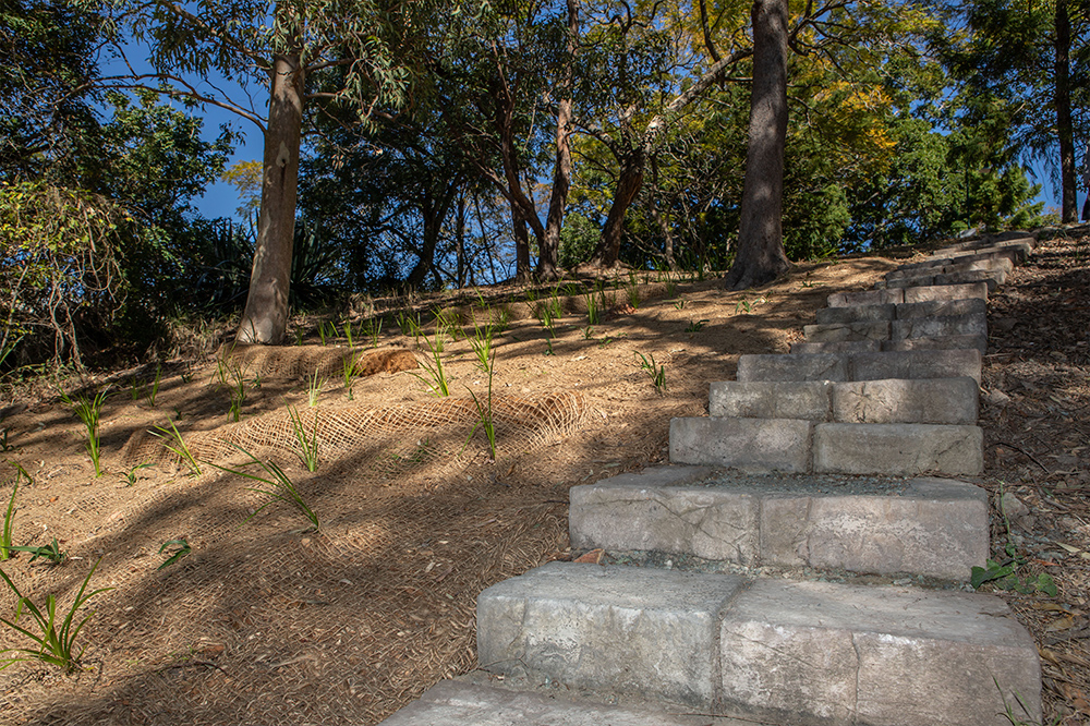 Newly-restored Teneriffe Park helps protect Brisbane River
