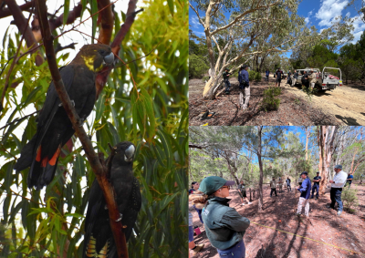 NRRP photo of people looking at map 2025 low