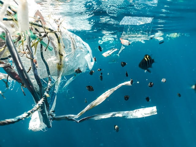 Plastic pollution in oceans