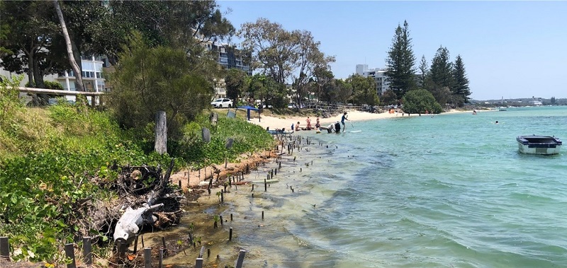 Project success: beach transformation site survives high tide