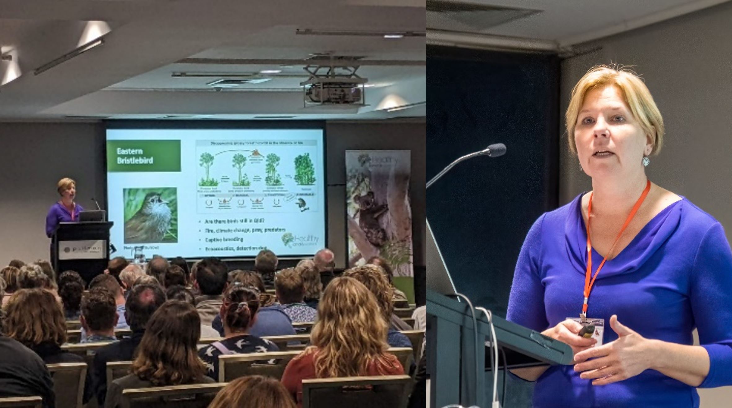 Queensland Ornithological Conference 2022