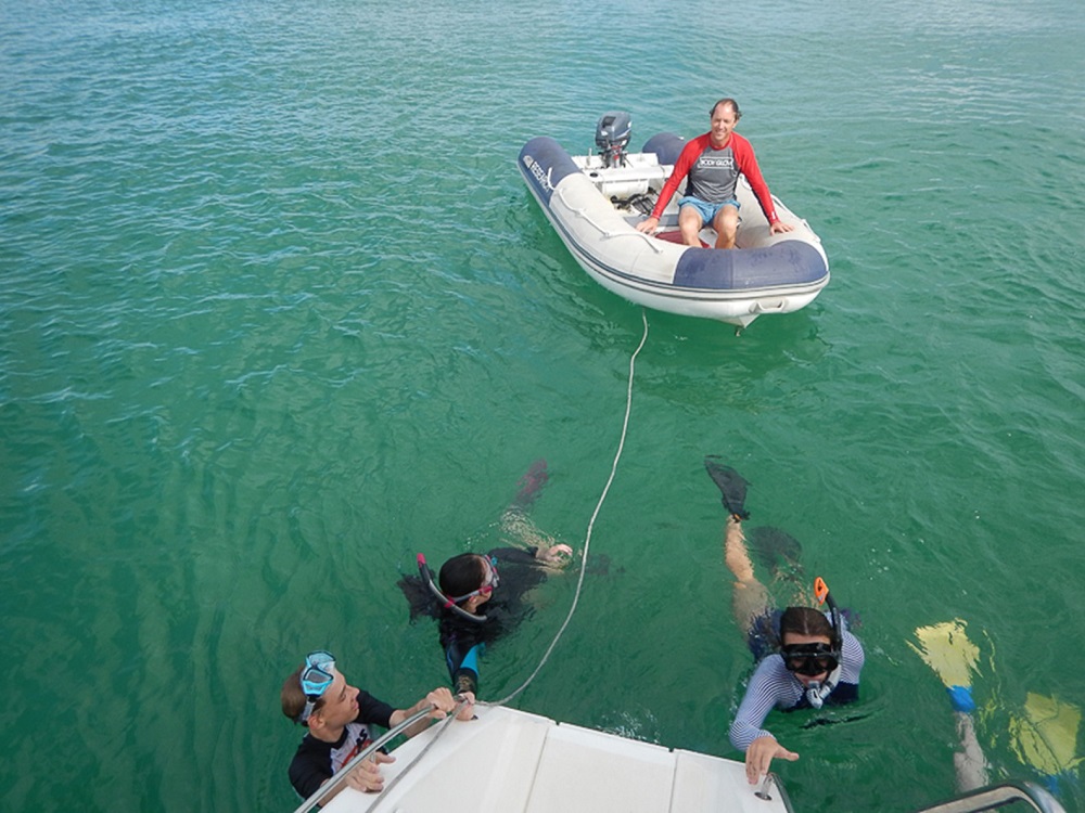 Spotlight on Moreton Bay Ramsar Wetland Ecosystems – Seagrass