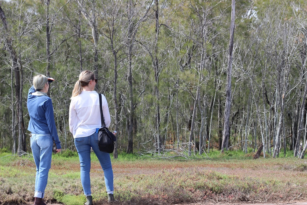 Weed eradication at Hays Inlet lending helping hand to threatened species