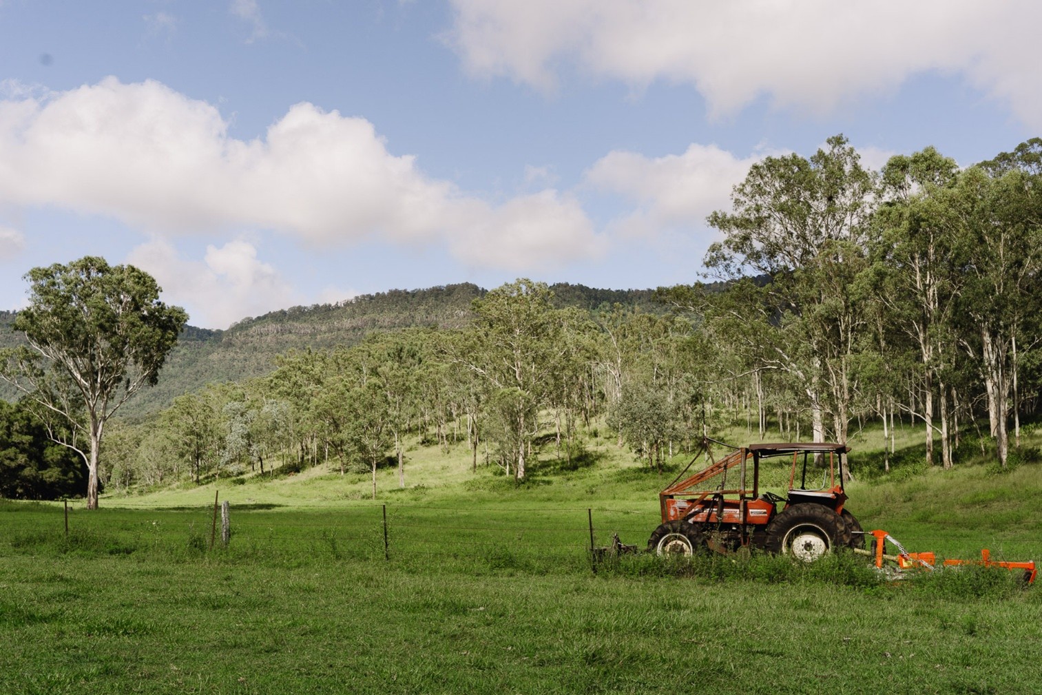 Boots on the ground: A day in the field, discovering what the Natural Resource Management Expansion Program is doing for threatened species and biodiversity