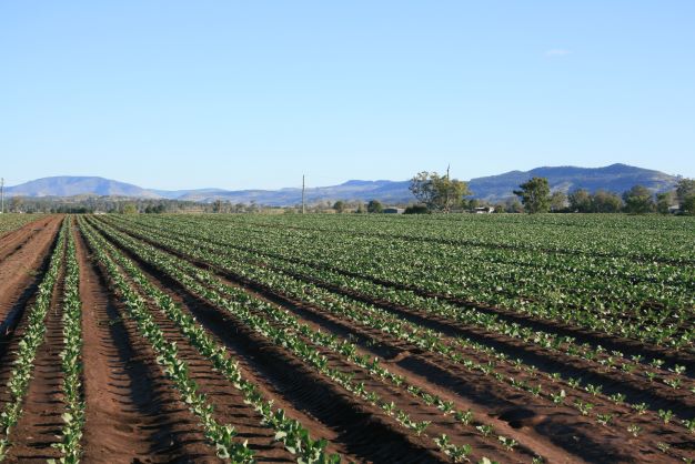 More composting in QLD to halve organic waste going to landfill