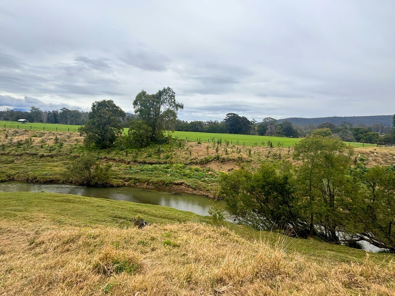 Letting nature take the lead: Building resilience in the Logan catchment