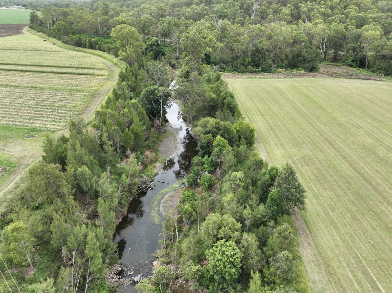 Beaudesert restoration site