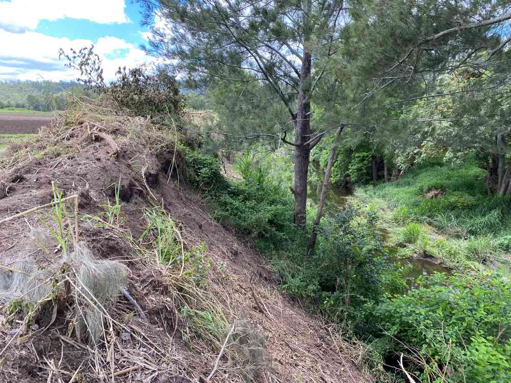 Beaudesert restoration site