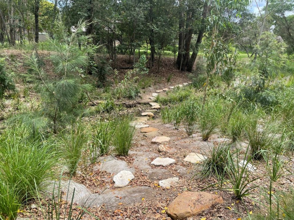 Urban rewilding program photo from similar program cicada park low
